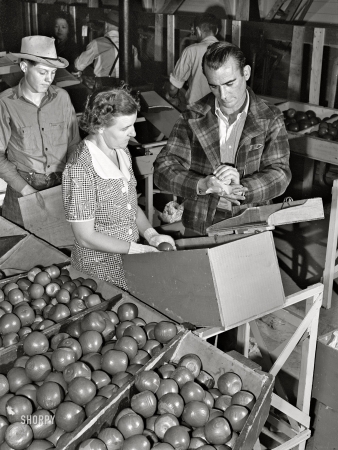 Photo showing: The Apple Wrappers -- September 1941. Yakima, Washington. Instructor demonstrates proper
method of wrapping apple at apple packing school at migratory labor camp.