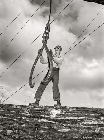 Photo showing: Im a Lumberjack -- October 1941. Lumberjack ready to sink the hook into a log.
Long Bell Lumber Company, Cowlitz County, Washington.