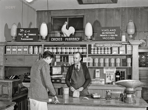 Photo showing: Chicken Pharmacy -- January 1942. Petaluma, Sonoma County, California. In the chicken pharmacy.