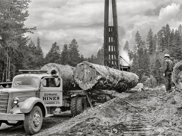 Photo showing: Log Lading -- July 1942. Grant County, Oregon. Malheur National Forest.
Loading large logs on truck for transport to railroad flatcar.