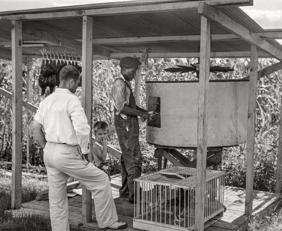 Photo showing: The Chickenator -- August 1941. The painless killer. FSA cooperative cannery and hatchery in Coffee County, Alabama.