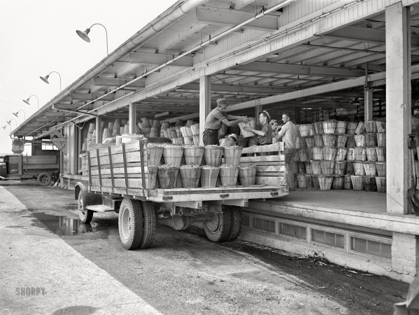 Photo showing: Cool Beans -- June 1942. Bridgeton, New Jersey. Seabrook Farms, where Birdseye Foods
are produced. Loading beans onto the delivery platform of the packing plant.