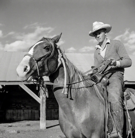 Photo showing: Business Pardners -- August 1941. Cowboy in the corral at Quarter Circle U,
Brewster-Arnold Ranch Company. Birney, Montana.