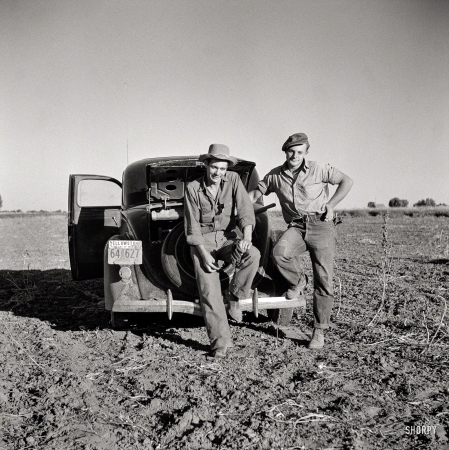 Photo showing: The Legume Brothers -- September 1941. Bean-threshing activities in the North Platte River Valley of Nebraska.