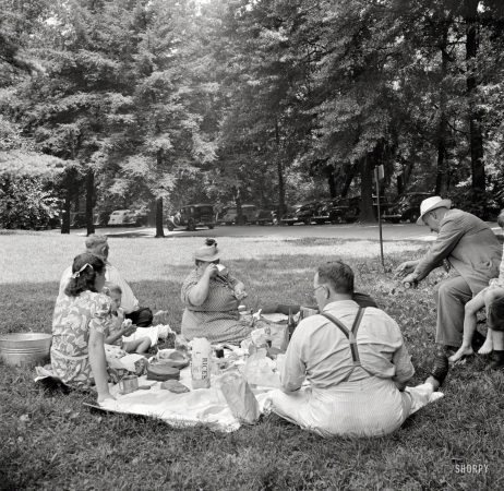 Photo showing: A Picnic in the Park -- July 1942. Washington, D.C. A Sunday picnic in Rock Creek Park.