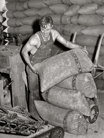 Photo showing: Grainslinger -- July 1941. Sacked wheat being stored in warehouse. Touchet, Walla Walla County, Washington.: