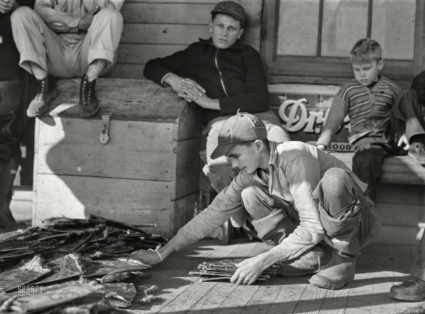 Photo showing: Of Muskrats and Men -- January 1941. Grading muskrats while fur buyers and Spanish trappers look on
during auction sale on porch of community store in Saint Bernard, Louisiana.