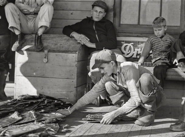 Photo showing: Of Muskrats and Men -- January 1941. Grading muskrats while fur buyers and Spanish trappers look on
during auction sale on porch of community store in Saint Bernard, Louisiana.