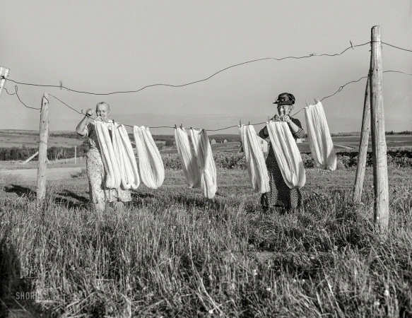 Photo showing: The Spinners -- August 1942. Aroostook County, Maine. Airing wool before spinning.