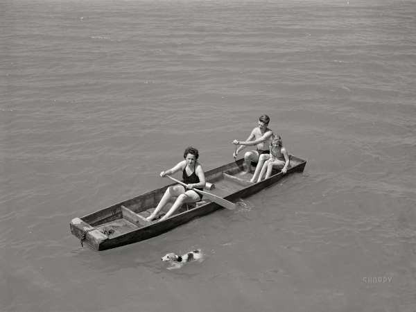Photo showing: Dog, Paddle -- June 1942. Sheffield, Alabama (Tennessee Valley Authority).
Kenneth C. Hall, wife and daughter rowing on the Tennessee River.