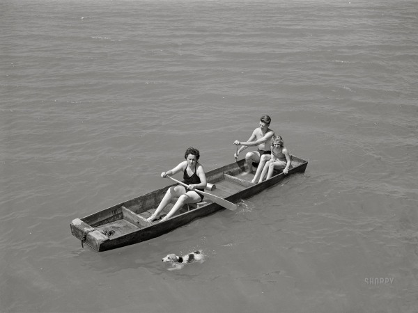 Photo showing: Dog, Paddle -- June 1942. Sheffield, Alabama (Tennessee Valley Authority).
Kenneth C. Hall, wife and daughter rowing on the Tennessee River.