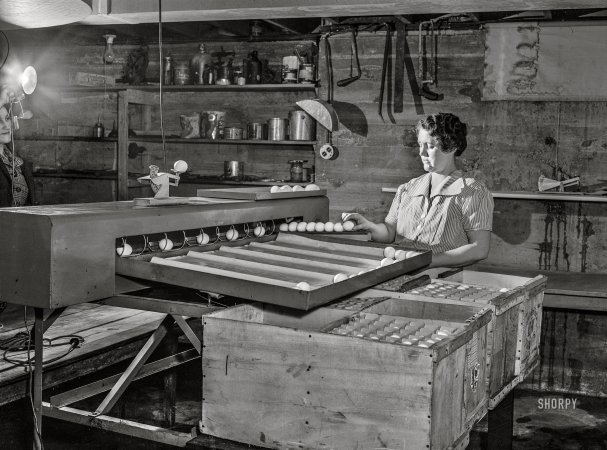 Photo showing: I Am the Egg Lady -- February 1943. Rio Grande, Gallia County, Ohio. Mrs. Younkers grading eggs.