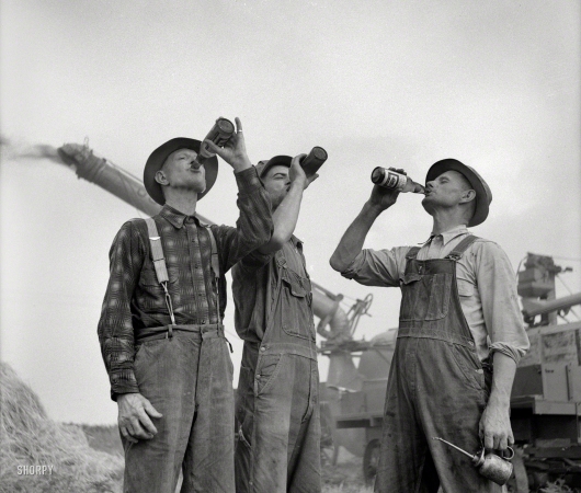 Photo showing: Wheat Toast -- Fall 1941. Jackson, Michigan. Threshing wheat. Farmers drinking beer.