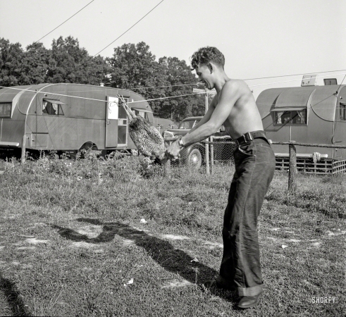 Photo showing: Choking the Chicken -- August 1943. Middle River, Md. Farm Security Administration housing for Glenn L. Martin aircraft plant workers.