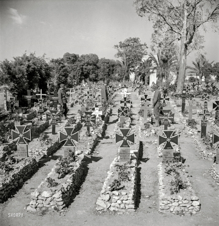 Photo showing: Springtime for Hitler -- June 1943. Tunisia. A German military cemetery on the outskirts of Tunis.