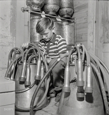 Photo showing: Cow Boy -- July 1942. East Montpelier, Vermont. Conrad Ormsbee with automatic electric milkers.