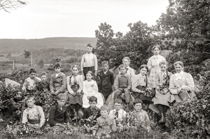 Photo showing: Young Sprouts -- New England class portrait circa 1900.