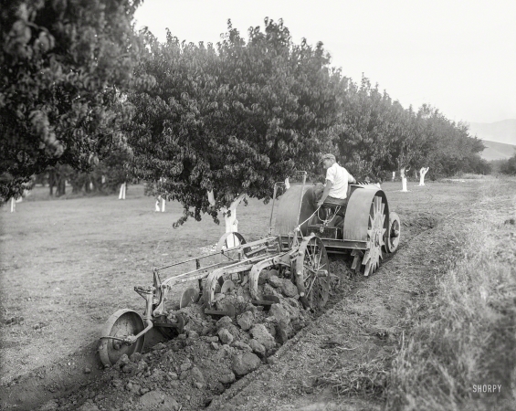 Photo showing: Walking Tractor -- Oakland, Calif., circa 1918. Walking Tractor -- Fageol orchard tractor demonstration.