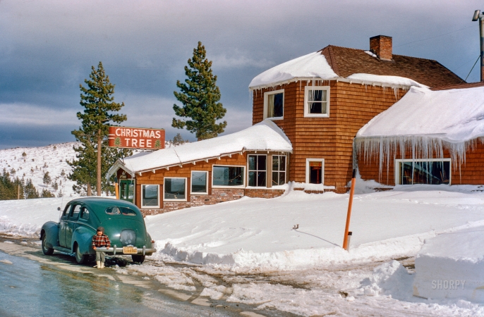 Photo showing: The Christmas Tree -- Sierras, 1950, Nevada. The Christmas Tree Lodge on the Mount Rose Highway south of Reno.