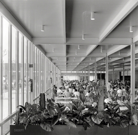 Photo showing: The Whiteboard Jungle -- Circa 1957. IBM Manufacturing and Administrative Center, Rochester, Minnesota. Cafeteria. Eero Saarinen, architect.