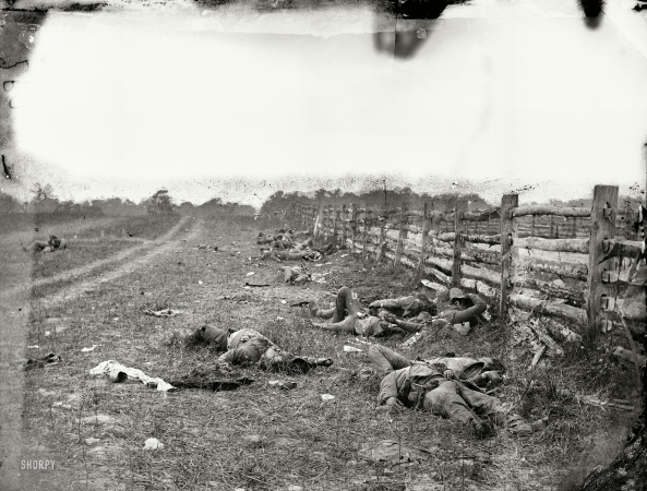Photo showing: Antietam: 1862 -- September 1862. Antietam, Maryland. Confederate dead by a fence on the Hagerstown road.