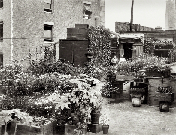 Photo showing: Urban Eden -- New York circa 1908. Living on a skyscraper.