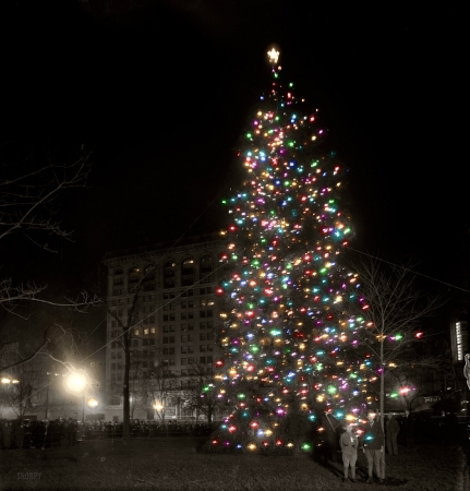 Photo showing: Merry Christmas! -- New York, December 1913. Christmas tree, Madison Square. 