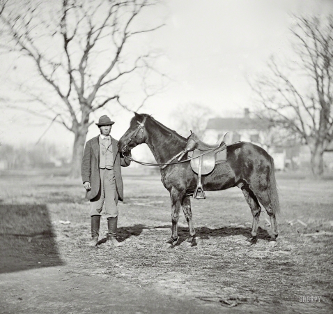 Photo showing: Jeff Davis -- March 1865. City Point, Virginia. 'Jeff Davis,' General Grant's pony.