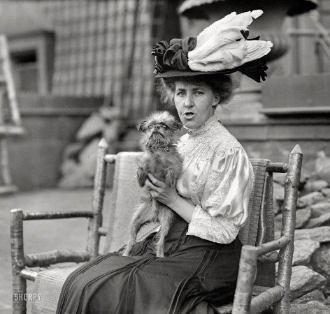 Photo showing: Feathers and Fur -- New York circa 1908. Mary Langley Bruce seated with her Griffon Bruxellois, 'Cupid'.