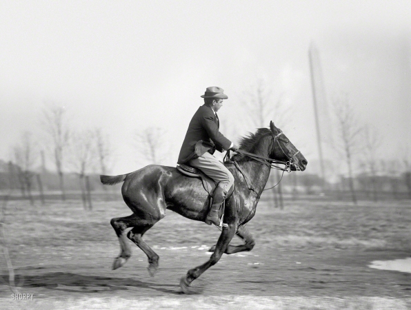 Photo showing: A Fast Horse -- Washington, D.C., 1914. Wrisley Brown, attorney, riding.