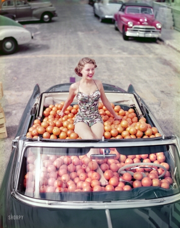 Photo showing: Fresh-Squeezed -- Circa 1952. Swimsuit model in Cadillac convertible filled with oranges.