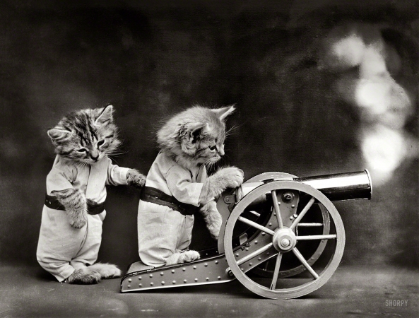 Photo showing: The Kittens of War -- 1914. Cats in coveralls, posed as if firing a toy cannon.