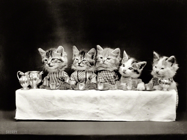 Photo showing: The Tea Party -- 1914. Cats in costume at banquet table with tea service.