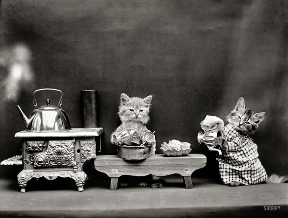 Photo showing: Domestic Cats -- 1914. Kittens in costume preparing to make tea with kettle boiling on toy stove.
