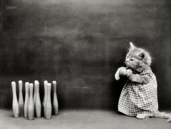 Photo showing: Catpins -- 1914. Kitten in costume with bowling ball and pins.