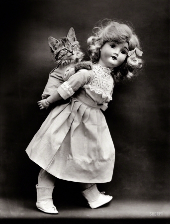 Photo showing: That Cat -- 1914. Kitten being carried on back of doll.