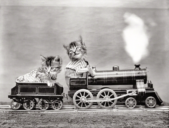 Photo showing: Kittycat Express -- 1914. Kittens in costume riding miniature locomotive.