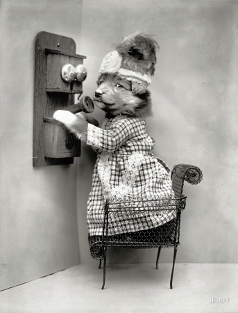 Photo showing: Animal Call -- 1914. Puppy dressed as a woman, standing on chair to use telephone.