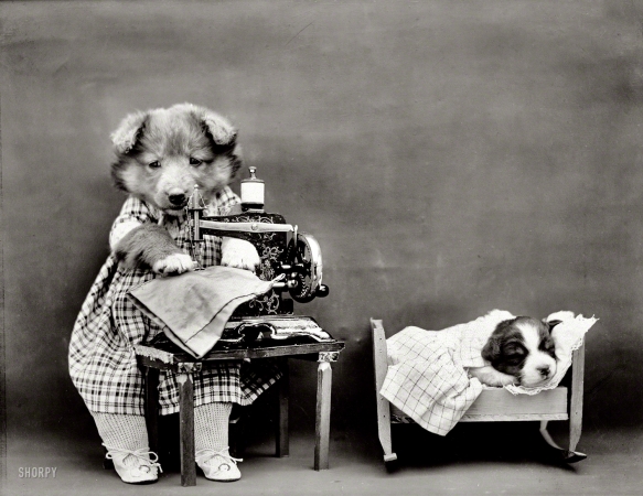 Photo showing: Naptime for Nipper -- 1914. Puppy in crib next to 'mother' dog in costume operating toy sewing machine.