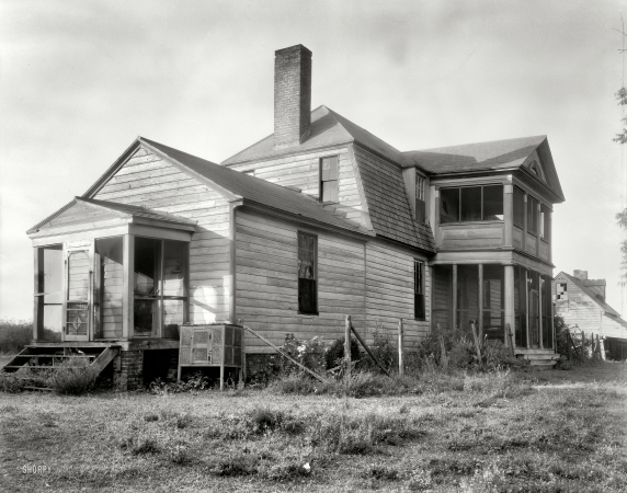 Photo showing: Toma Hund -- Charles City County, Virginia, circa 1935. Toma Hund, Barrett's Ferry vicinity.