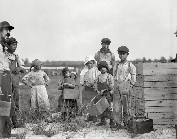 Photo showing: Rosie Biodo -- Sept. 28, 1910. Browns Mills, New Jersey. Smallest girl is 10-year-old Rosie Biodo,
1216 Annan St., Philadelphia. Carries cranberries at White's Bog.