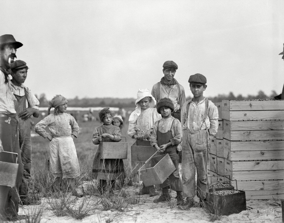 Photo showing: Rosie Biodo -- Sept. 28, 1910. Browns Mills, New Jersey. Smallest girl is 10-year-old Rosie Biodo,
1216 Annan St., Philadelphia. Carries cranberries at White's Bog.