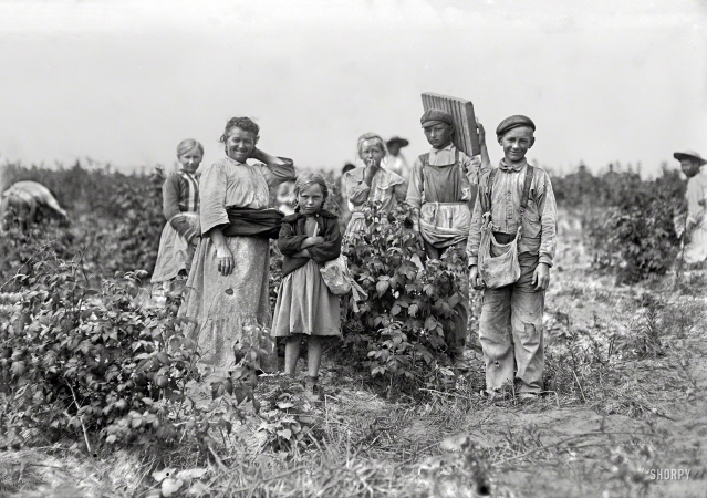 Photo showing: Bottomleys Berry Farm -- July 1909. Mrs. Bissie and family (Polish). Bottomley Farm, Rock Creek.
They all work in the berry fields near Baltimore in summer.