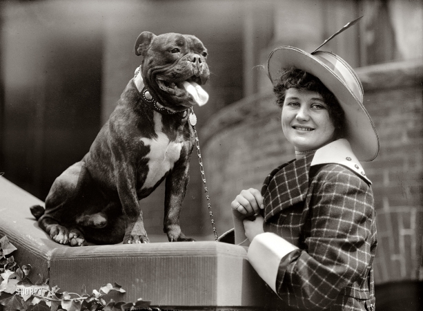 Photo showing: Best Friends -- 1915. Washington, D.C. Miss Edith Gracie -- dog show.