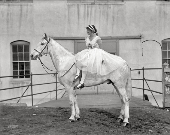 Photo showing: The White Stallion -- Washington, D.C., circa 1916. Society Circus -- Ruth Anderson.