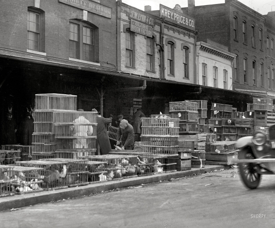 Photo showing: Chicken to Go -- Washington, D.C., 1923. Louisiana Avenue market.