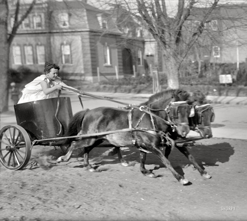 Photo showing: Ben-Hurry -- Washington, D.C., circa 1917. Ashton Devereaux in chariot.