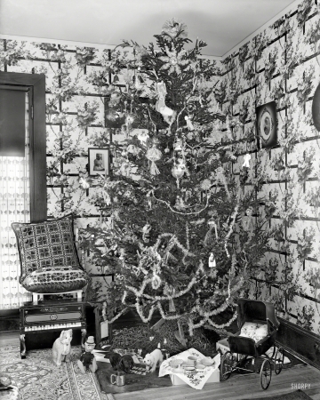 Photo showing: All the Trimmings -- Washington, D.C., circa 1910. Harris, Martha. Christmas tree.