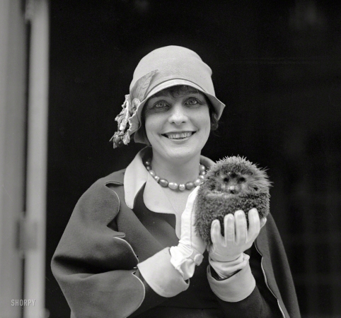 Photo showing: Double Bill: -- April 23, 1926. Washington, D.C. Miss Dorothy Tierney with porcupine.