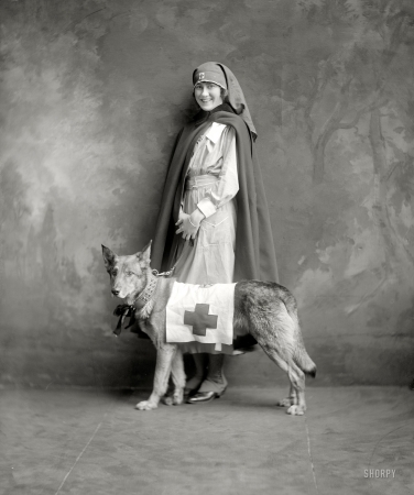 Photo showing: Red Cross Dog -- Washington, D.C., circa 1917. Miss Carter Mullikin, Holton-Arms School.